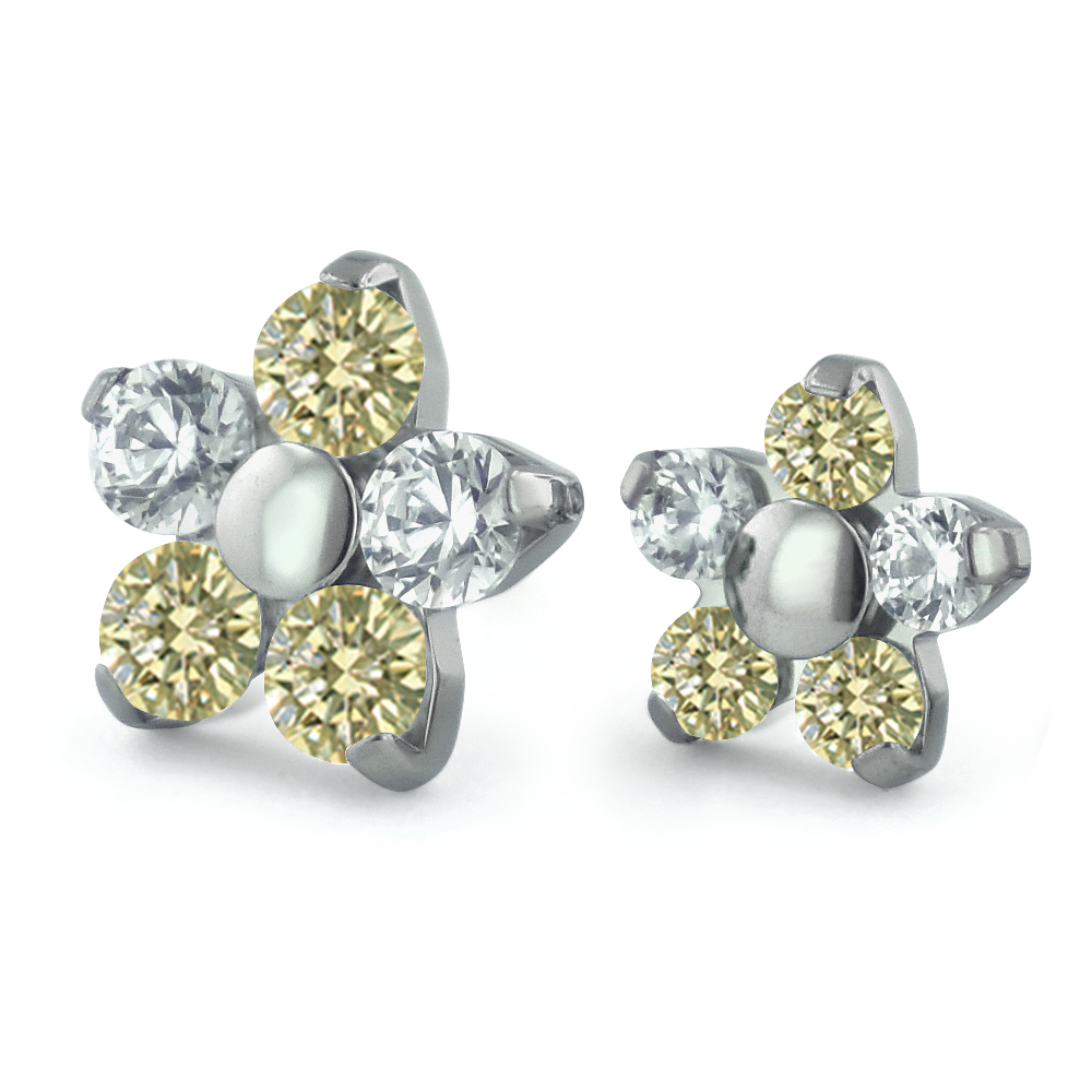 2mm and 1.5mm Titanium Flower Gem End with Champagne and Cubic Zirconia Faceted Gems