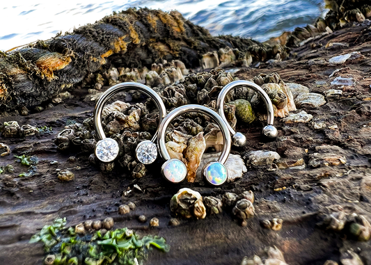 NeoMetal's Guide to Threadless Circular Barbells