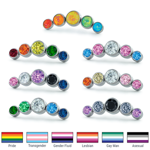 Threadless Titanium Curved Bezel Set Clusters featuring colors for Pride Flag, Transgender Flag, Gender Fluid Flag, Lesbian Flag, Gay Man Flag, and Asexual Flag
