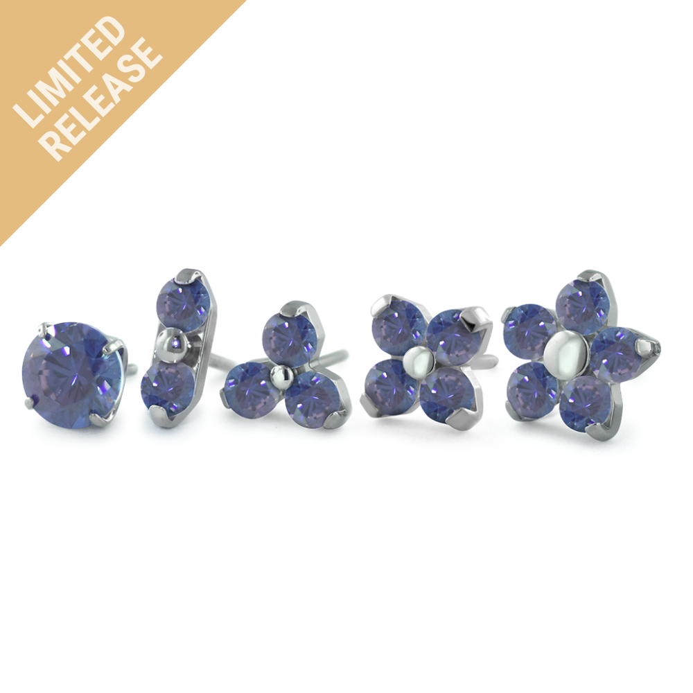 Tanzanite Gem Ends