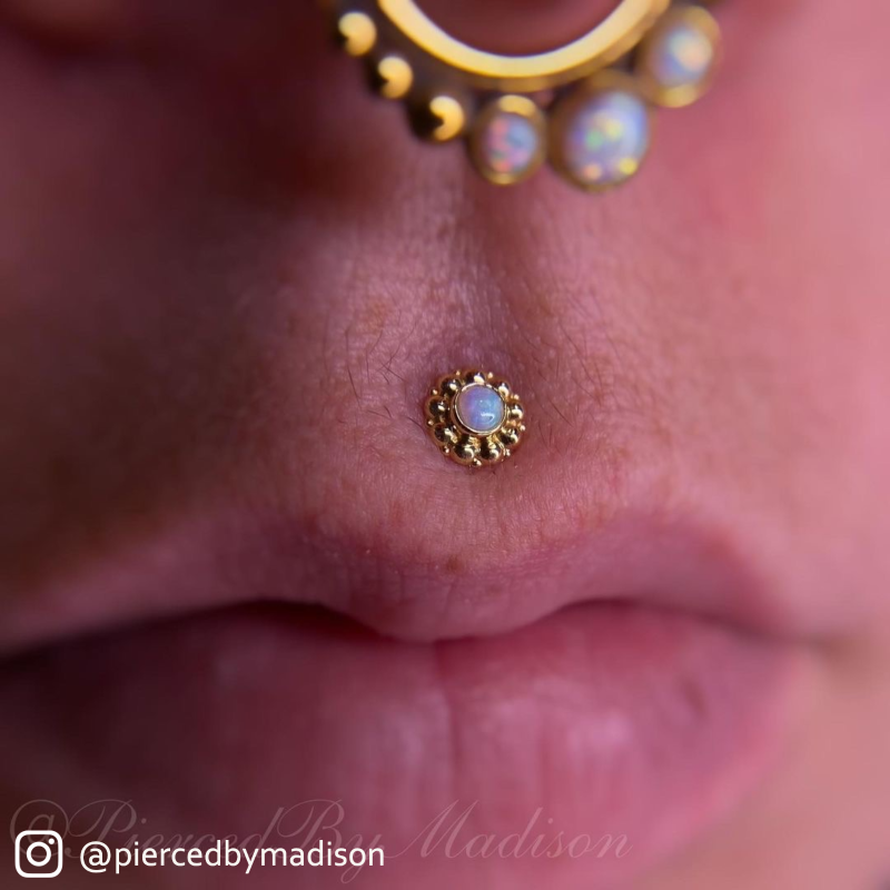 Nose Rings Etsy, Diamond Nose Ring, Nose Ring Hoop, 18K Yellow Gold Nose  Ring, Nose Piercing Jewelry, Thin Nose Ring, Gold Nose Ring Hoop, Dayint Nose  Ring (148) Sale Price $126.