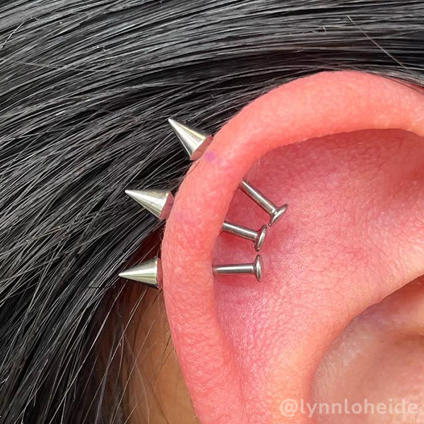 'Earhawk', Titanium spears in helix piercings