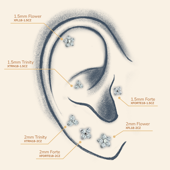 A drawn ear with different possible placements for the Trinity, Forte, and Flower gem ends