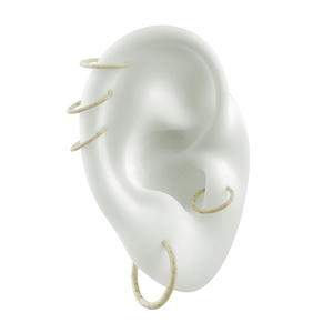 Biodegradable Piercing Placement Rings in ear