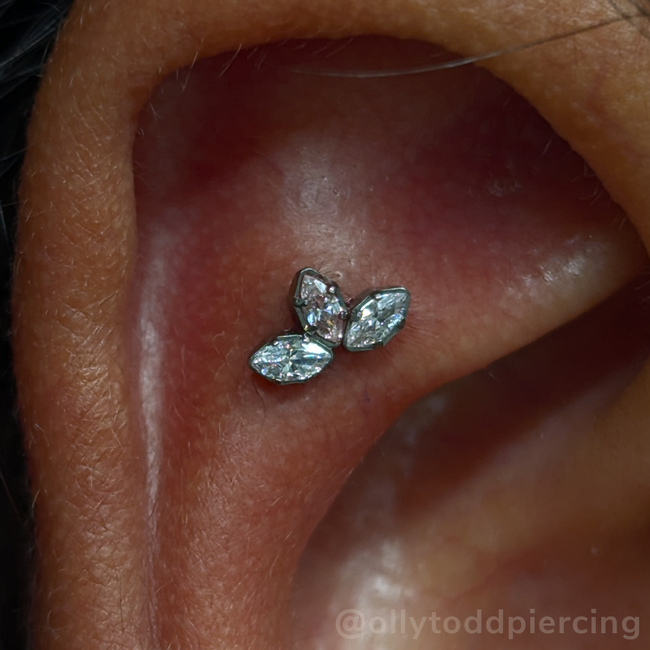 Titanium Marquise Cut Gem Fan Clusters - NeoMetal Inc