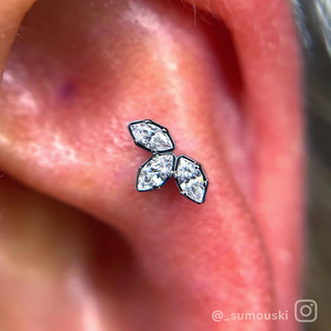 Titanium Marquise Cut Gem Fan Clusters - NeoMetal Inc