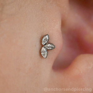 Titanium Marquise Cut Gem Fan Clusters - NeoMetal Inc
