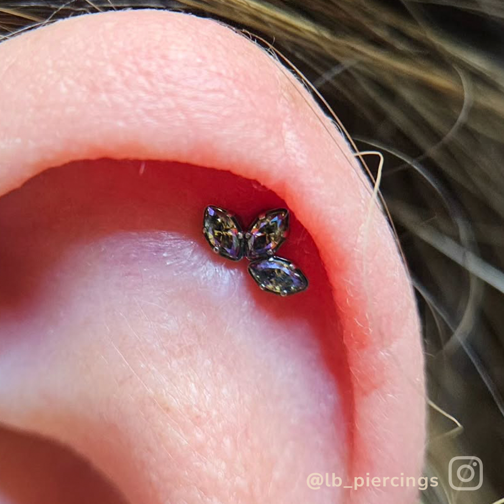 Titanium Marquise Cut Gem Fan Clusters - NeoMetal Inc