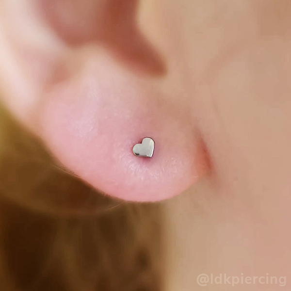 Titanium Heart End - NeoMetal Inc