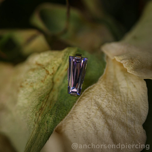 Titanium Baguette Cut Prong Gem End